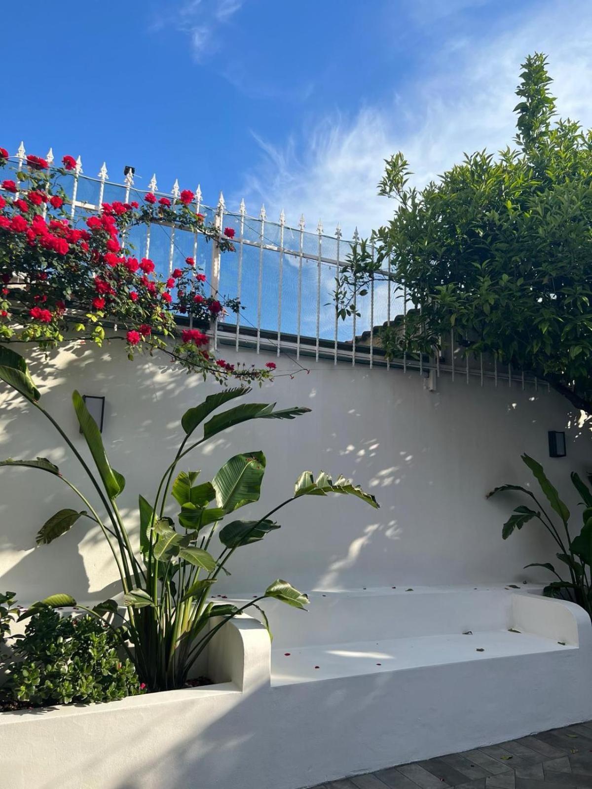 B&B Toci Volla  Buitenkant foto